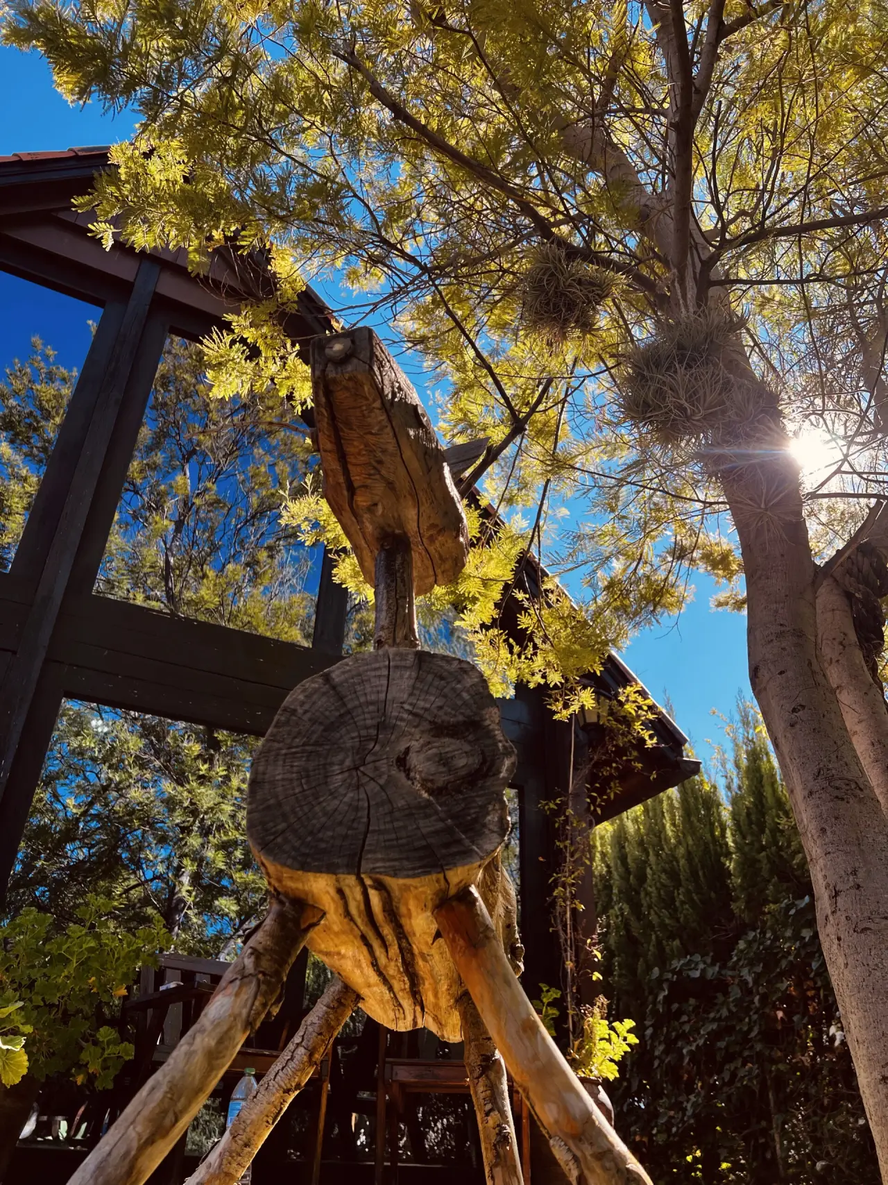 Vista exterior de una cabaña con estructura de madera oscura, un gran tronco tallado en primer plano, un árbol alto