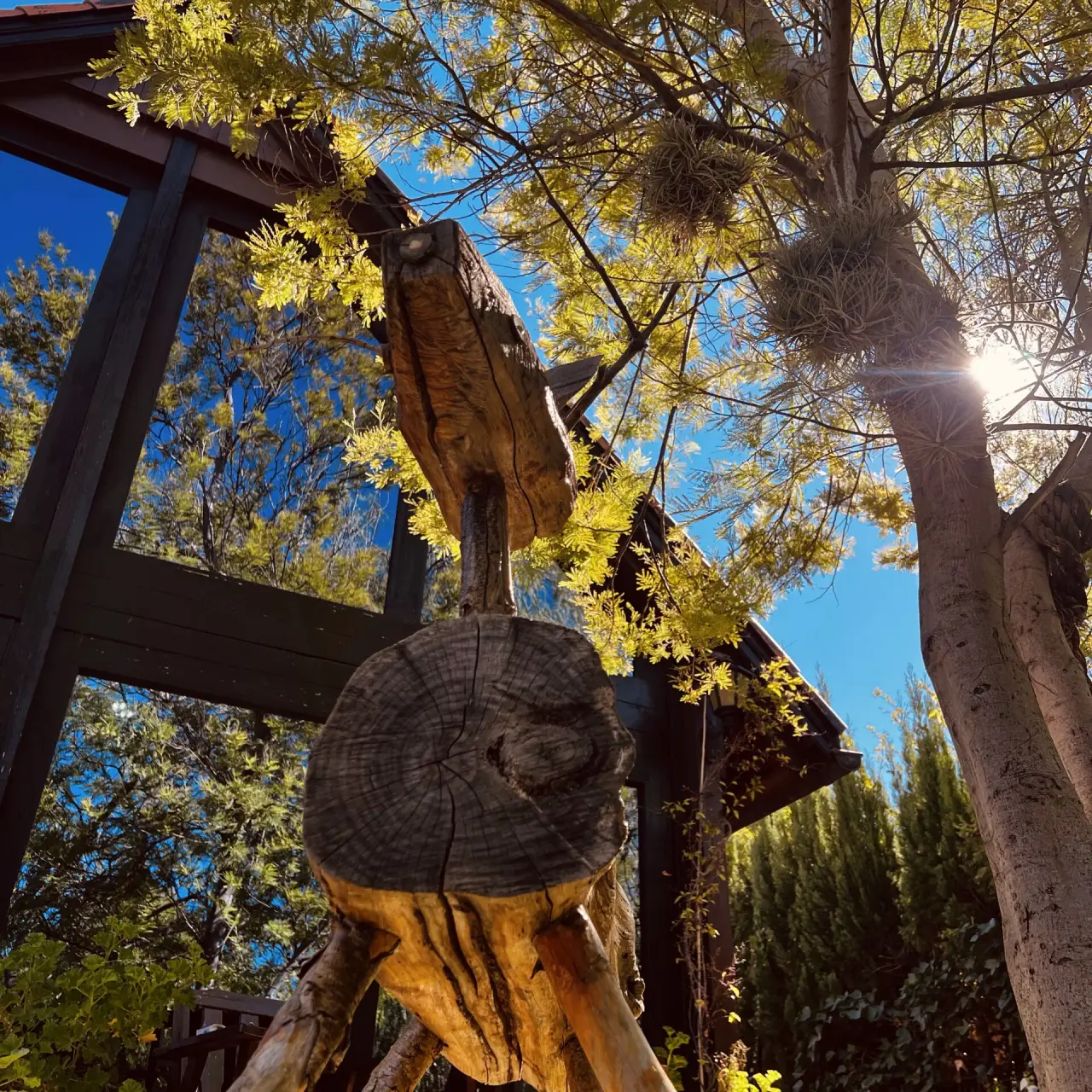 Vista exterior de una cabaña con estructura de madera oscura, un tronco tallado en primer plano, un árbol alto