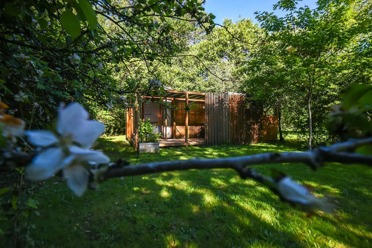 Vista exterior de una cabaña de madera rodeada de vegetación y árboles frondosos, con un jardín de césped en primer