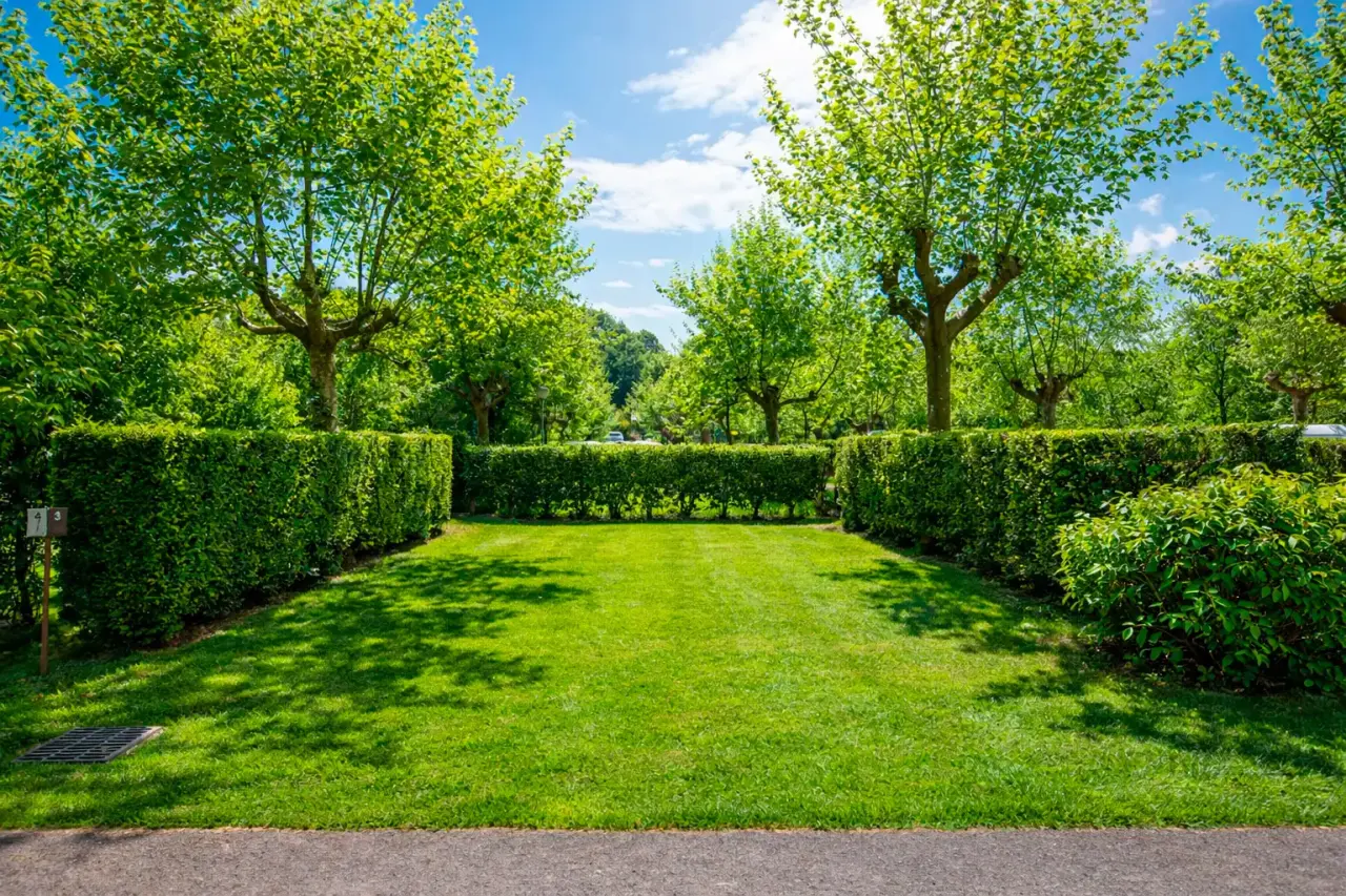 Jardín exterior con césped verde, setos altos y árboles frondosos bajo un cielo azul con nubes.