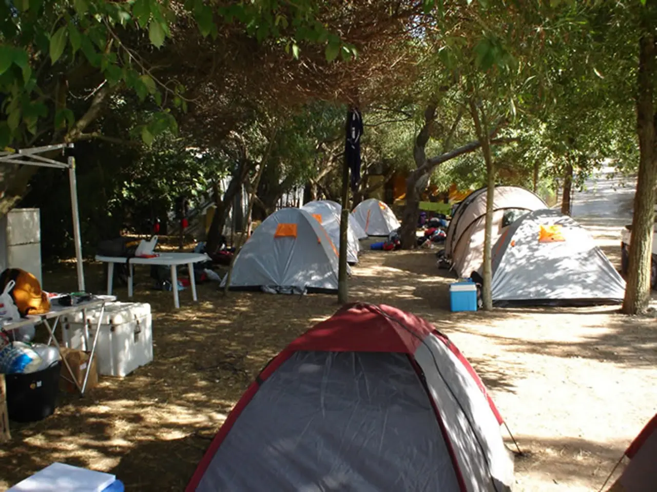 Vista de un camping con varias tiendas de campaña instaladas bajo árboles frondosos en un terreno arenoso.