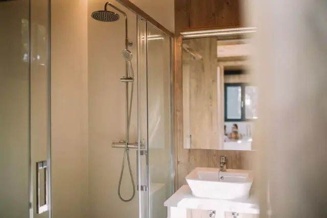 Baño con ducha de pared con mampara de vidrio, lavabo blanco sobre mueble de madera y espejo rectangular.