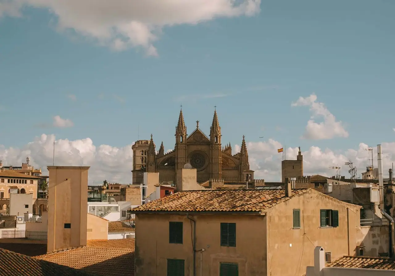 Vista panorámica de la ciudad con una gran catedral gótica al fondo, tejados de edificios históricos en primer plano