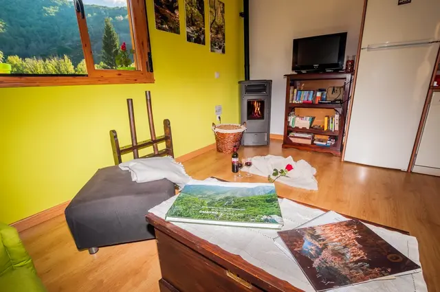 Interior de una habitación con paredes amarillas, suelo de madera, ventana con vistas a un bosque, estufa de leña