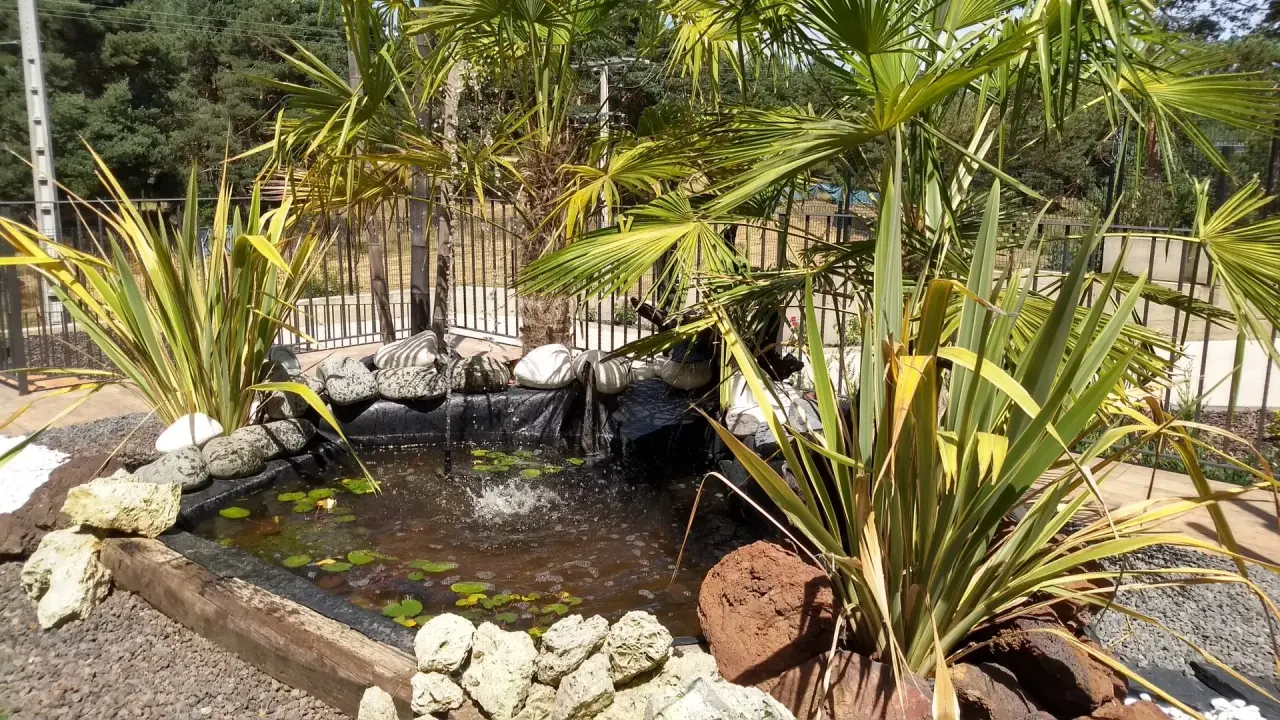 Pequeño estanque rectangular con agua, nenúfares y cascada artificial, rodeado de rocas, grava y abundante vegetación