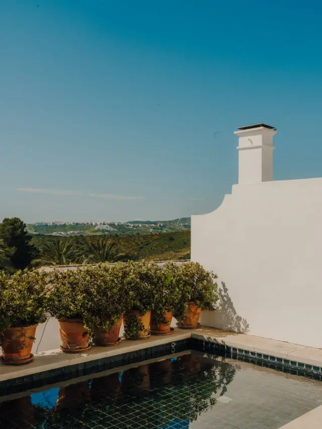 Piscina privada en terraza con borde de azulejos oscuros, rodeada de macetas con arbustos, junto a una pared blanca
