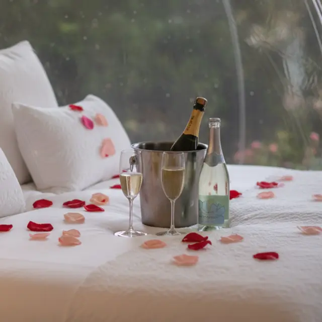 Cama con pétalos de rosa, champán en cubitera y copas en una habitación con vistas al exterior.