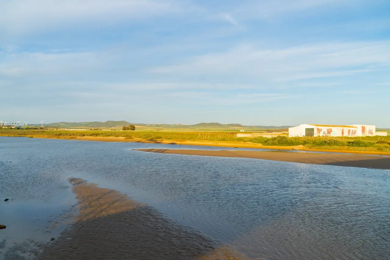Vista panorámica de un paisaje costero con una amplia zona de agua y arena en primer plano, vegetación verde