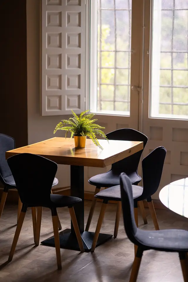 Mesa cuadrada de madera con base negra y cuatro sillas tapizadas en negro, con un helecho en maceta dorada como centro