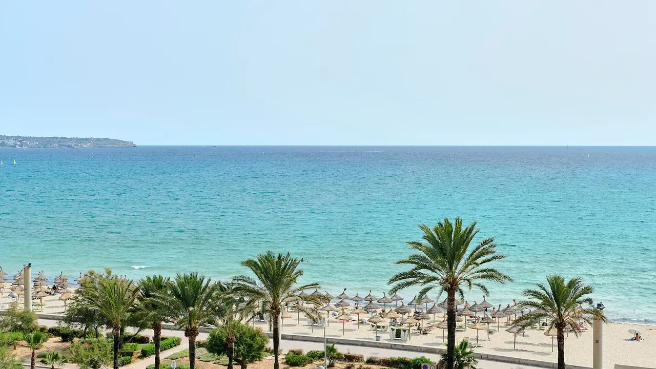 Vista panorámica al mar desde una terraza, con palmeras en primer plano, una playa con sombrillas y el horizonte
