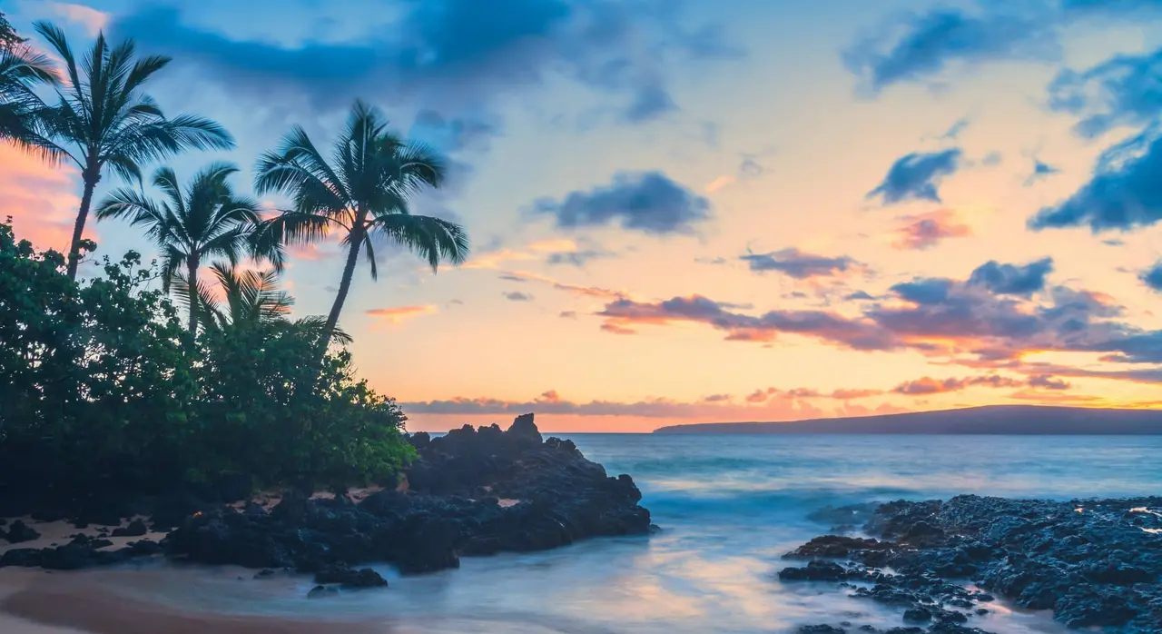 Vista al atardecer sobre el océano con palmeras, rocas en la orilla y vegetación tropical.