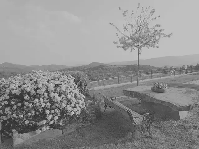 Vista panorámica de un jardín con banco, arbustos en flor y un árbol sobre un paisaje de montañas lejanas.