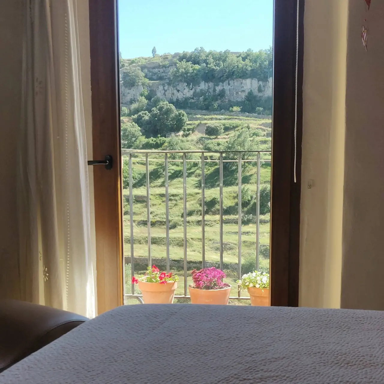 Vista desde el interior de una habitación hacia un balcón con barandilla metálica y tres macetas con flores rojas