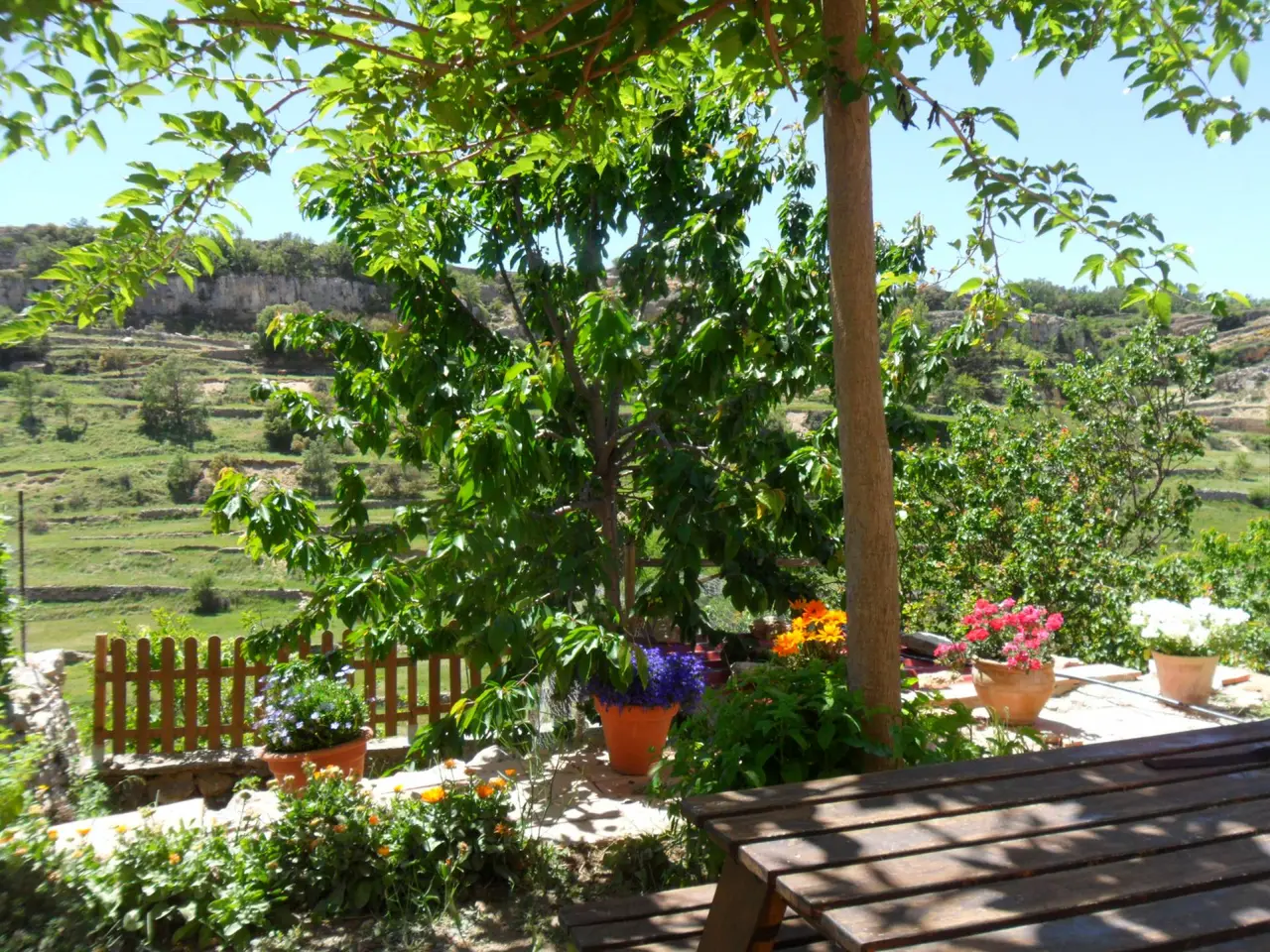 Vista exterior de un jardín con árboles frondosos, macetas con flores de colores y una mesa de madera, con un paisaje