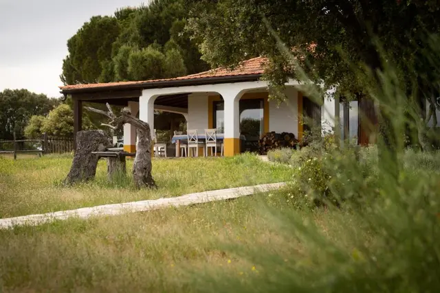 Vista exterior de una casa rural con porche, rodeada de césped y árboles, con un tocón de árbol en primer plano.
