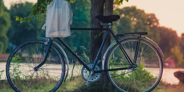 Bicicleta negra apoyada en un árbol junto a un lago al atardecer.