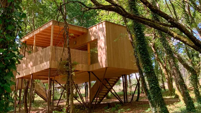 Vista exterior de una cabaña de madera elevada sobre pilares en medio de un bosque frondoso, con escaleras de acceso