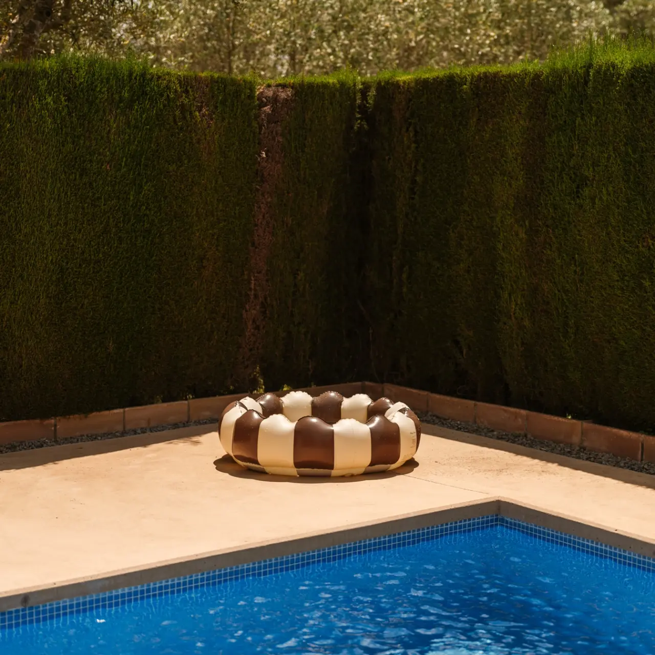 Piscina privada rectangular con agua azul en un patio rodeado de setos altos y densos.