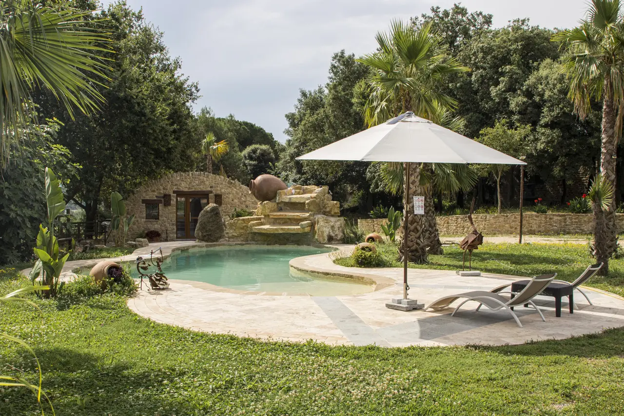 Vista de una piscina exterior con forma curva rodeada de césped, palmeras y vegetación.