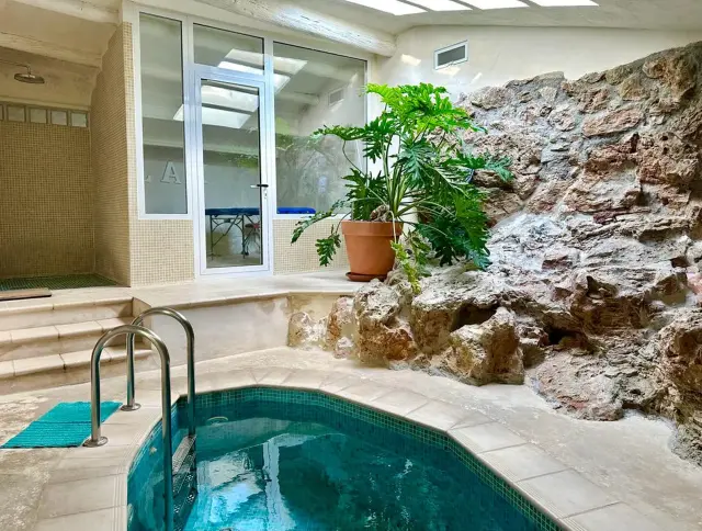 Jacuzzi privado con agua azul en un spa interior con pared de roca natural, planta y puerta acristalada.