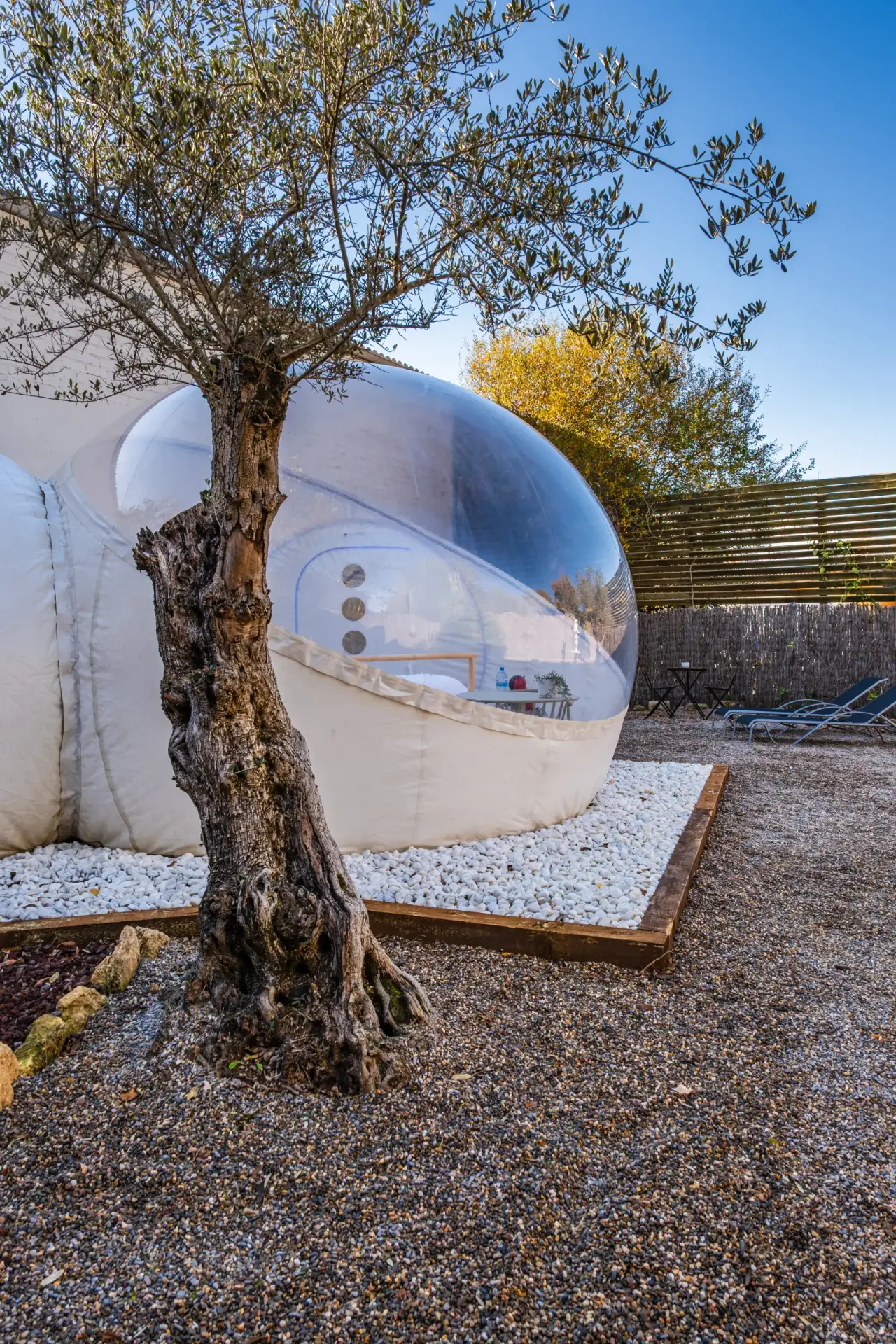 Vista exterior de una cúpula transparente tipo burbuja instalada en un jardín con grava, parcialmente oculta