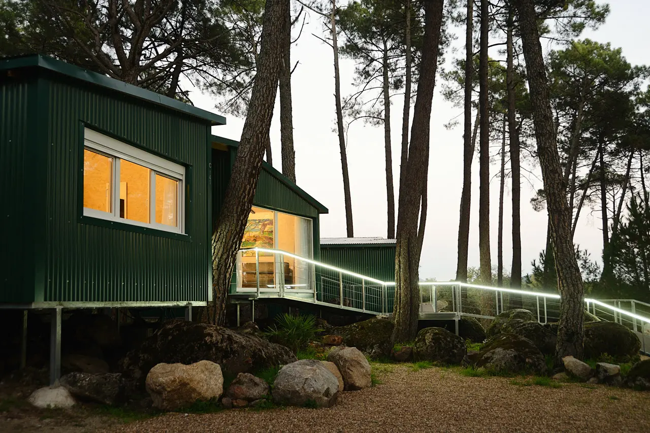 Vista exterior de una cabaña elevada de color verde oscuro entre altos pinos, con ventanas iluminadas, pasarela