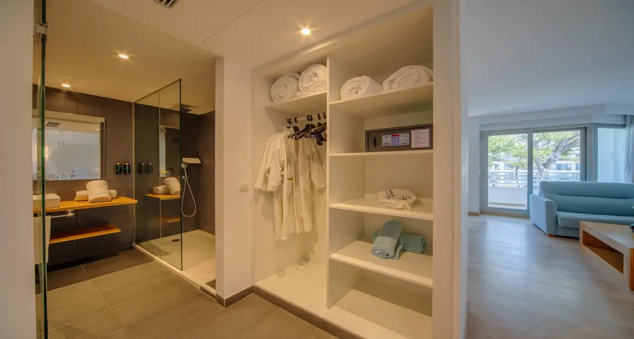 Vista de una habitación de hotel con un baño abierto que incluye una ducha de vidrio, un mueble de lavabo y un armario
