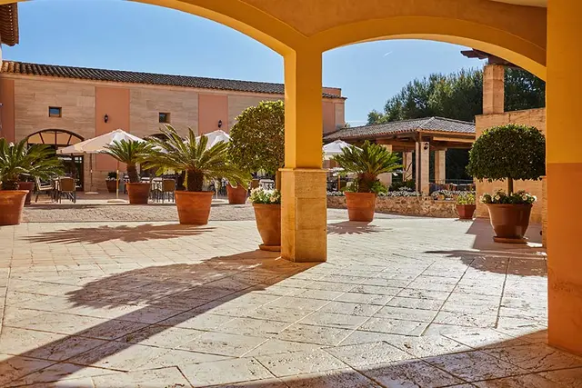 Vista de un patio exterior con suelo de piedra, arcos amarillos en primer plano, varias macetas grandes con palmeras