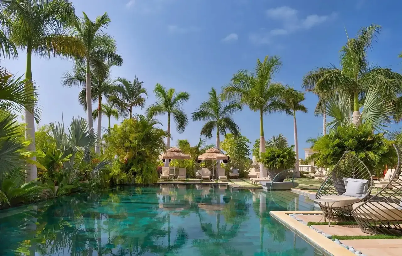 Piscina privada rectangular con agua turquesa rodeada de palmeras, vegetación tropical y tumbonas con sombrillas