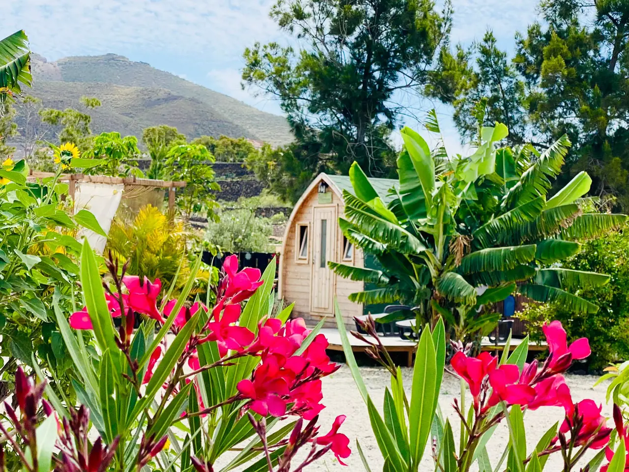 Vista exterior de una cabaña de madera rodeada de abundante vegetación con flores rosadas en primer plano, palmeras