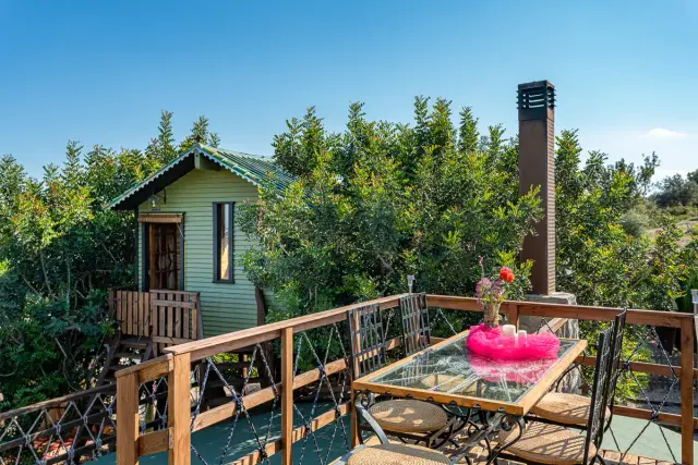 Vista exterior de una cabaña de madera elevada entre árboles, con una terraza de madera en primer plano que incluye