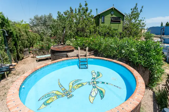 Vista aérea de un jacuzzi circular exterior con borde de ladrillo, agua azul y mosaicos de dos libélulas en el fondo.