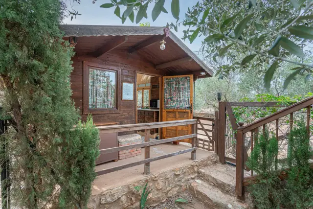 Vista exterior de una cabaña de madera con porche, puerta abierta y escaleras de piedra rodeada de vegetación y árboles.