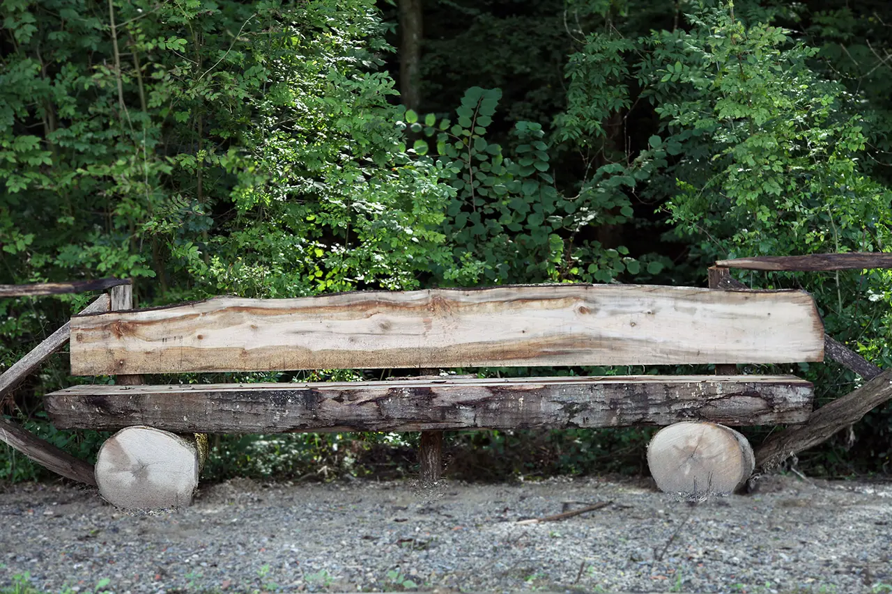 Banco rústico de madera colocado sobre dos troncos circulares, situado en un camino de grava con un denso bosque