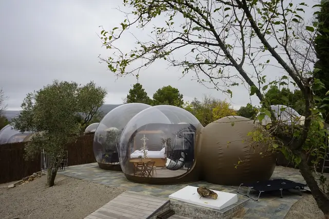 Vista exterior de varias cúpulas transparentes de alojamiento glamping en un entorno natural con árboles y terreno